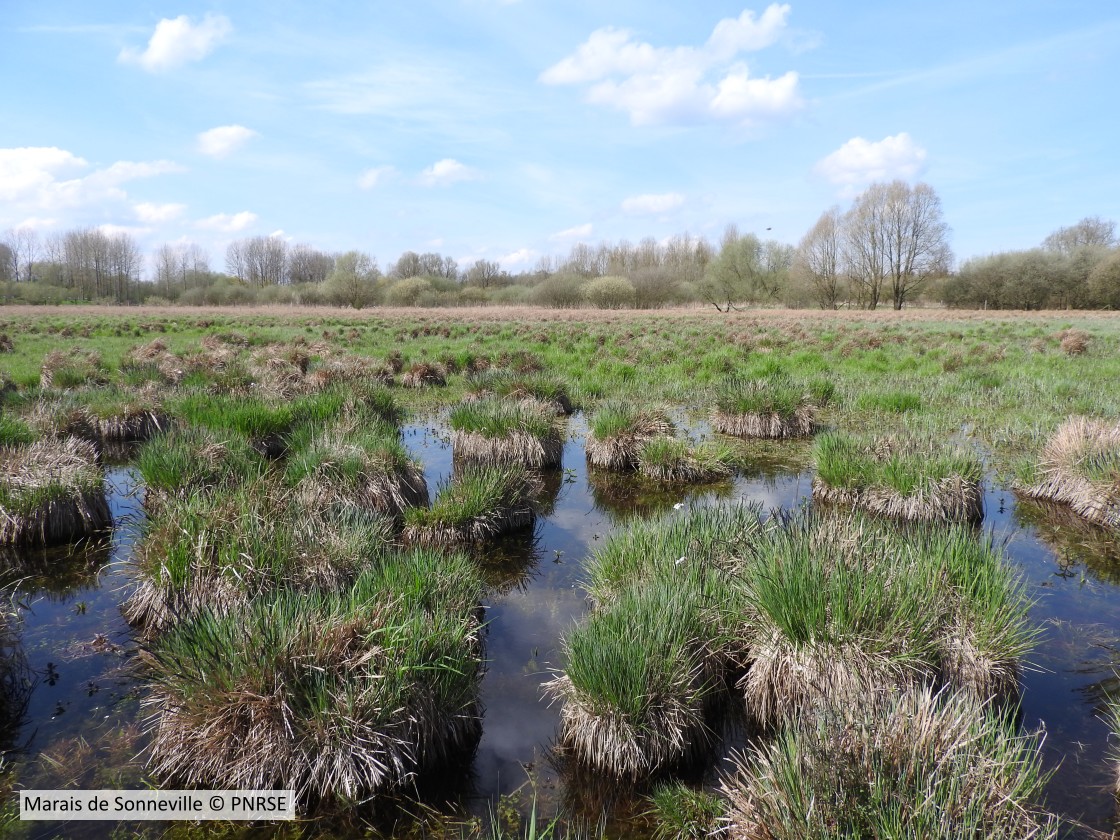 20180410 Sonneville PNRSE
