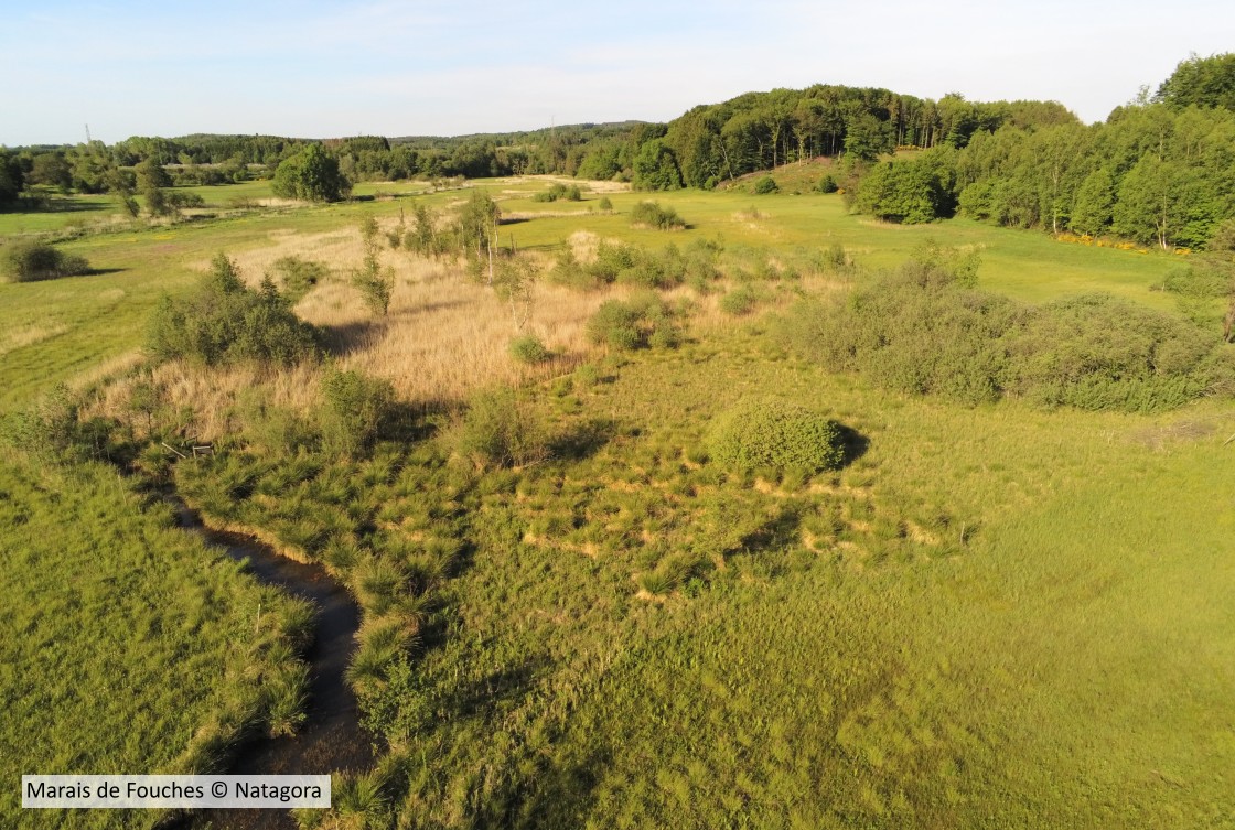 20190601 Fouches NATAGORA 2