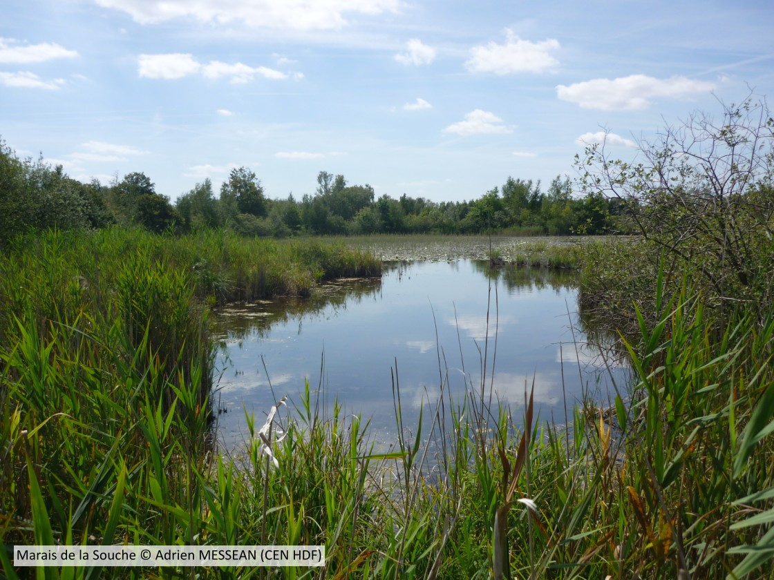 20110208 Pierrepont CENP A MESSEAN (1)