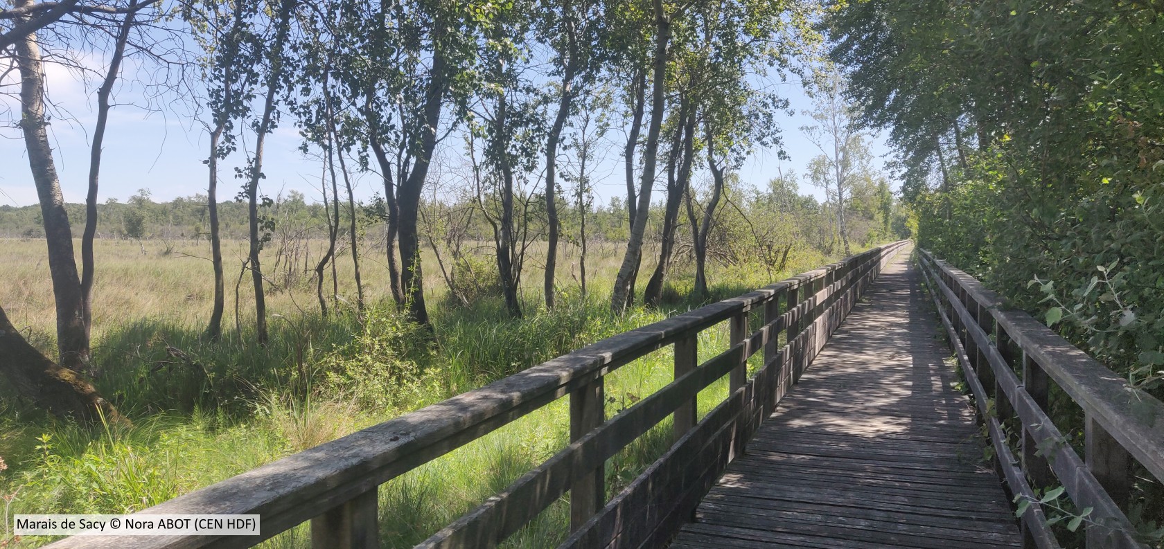 20200722 Sacy Platelage CENHDF N ABOT