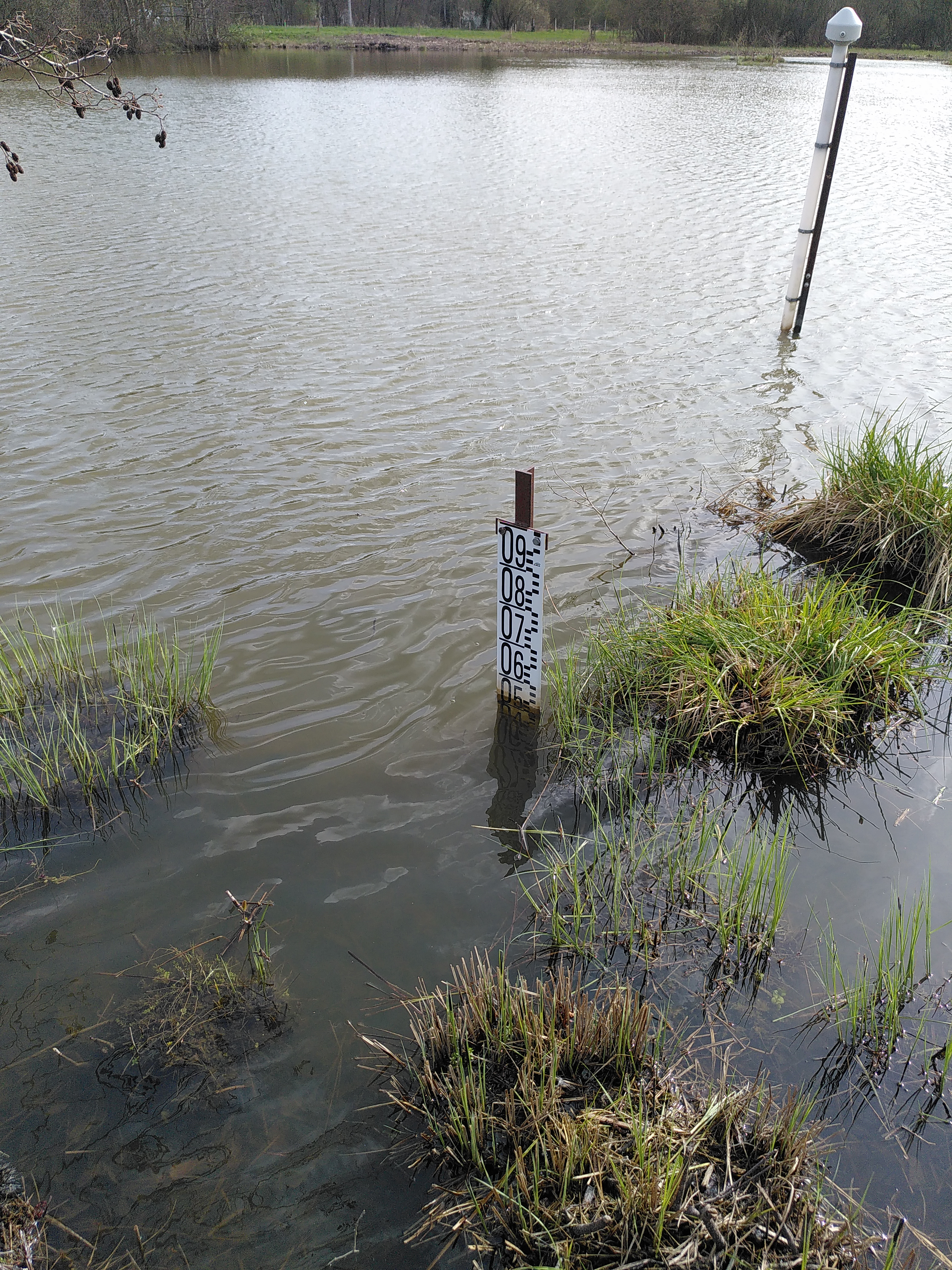Limnimètre mesurant les niveaux d'eau 