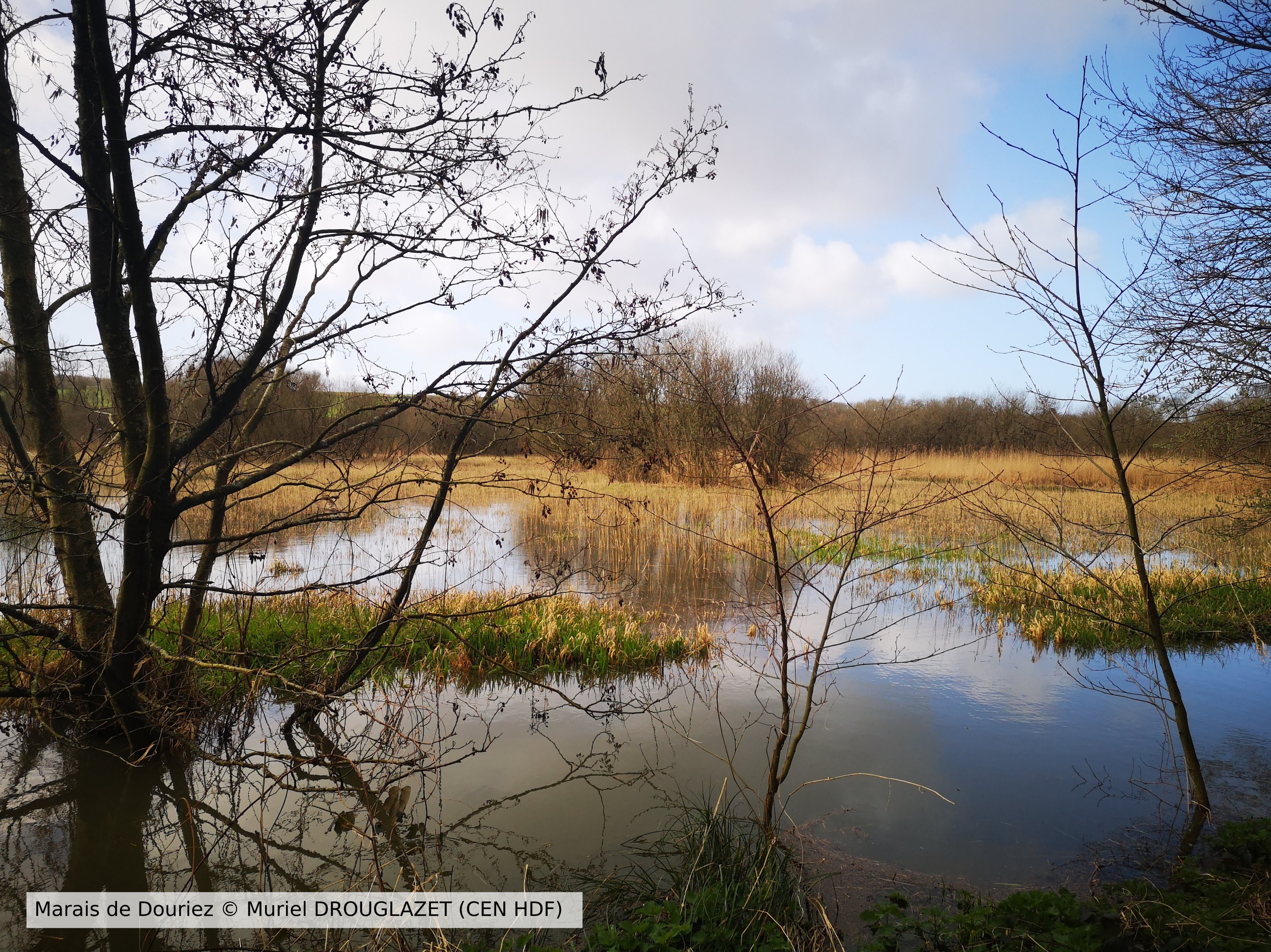 20200312 Douriez CENHDF M DROUGLAZET Leg