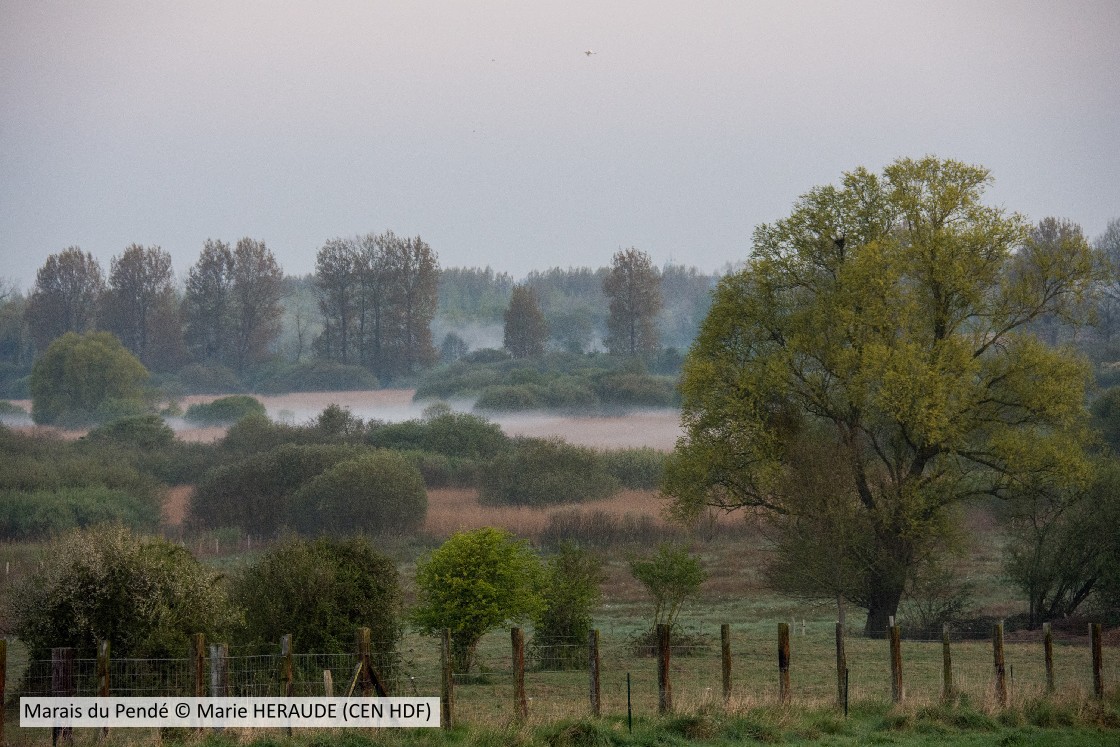 20170411 Pendeaube CENP M HERAUDE (1)