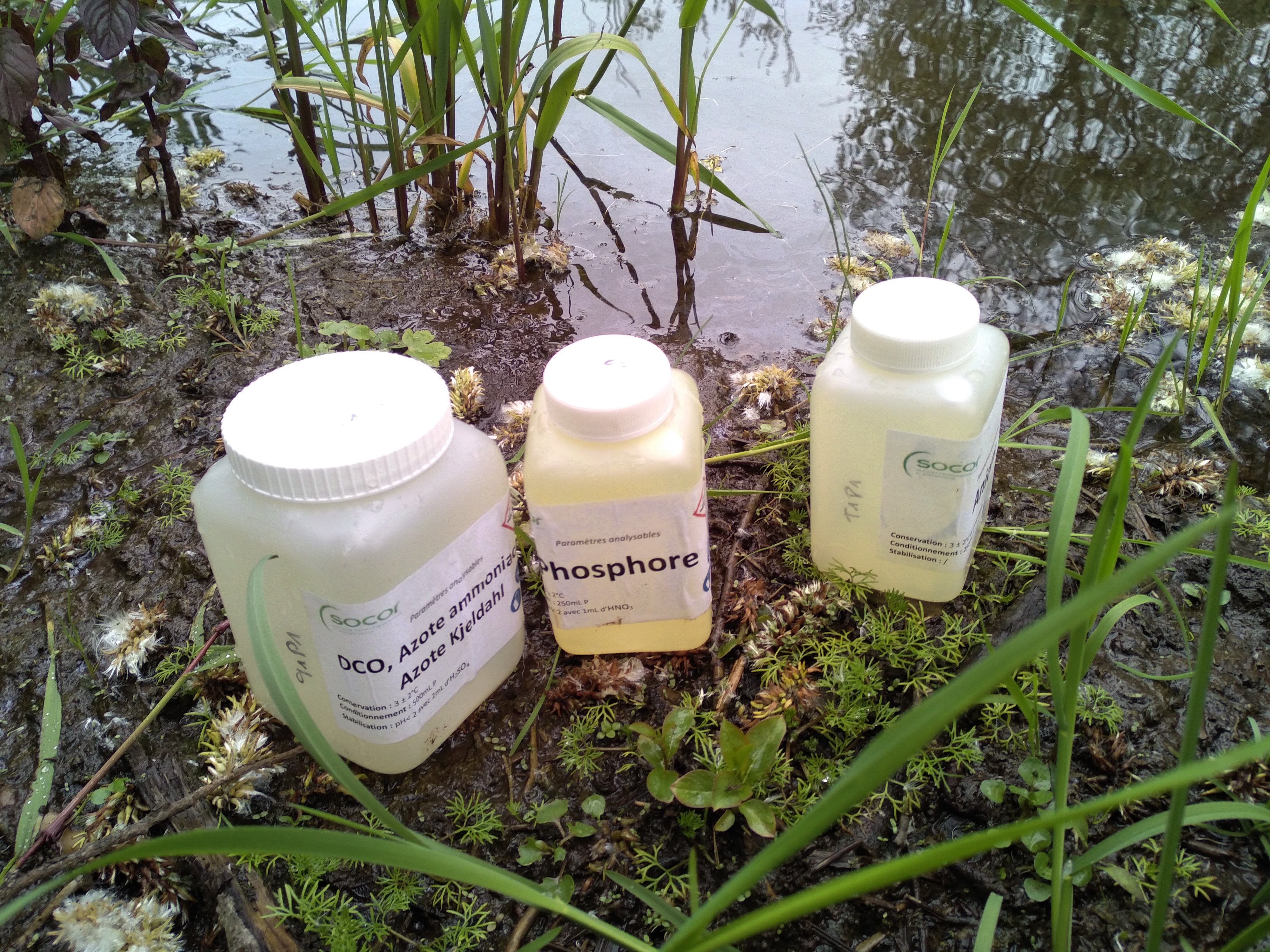 Prélèvements réalisés par le Conservatoire d'espaces naturels des Hauts-de-France, via le projet Life Anthropofens / crédits photos : Adrien BERQUER