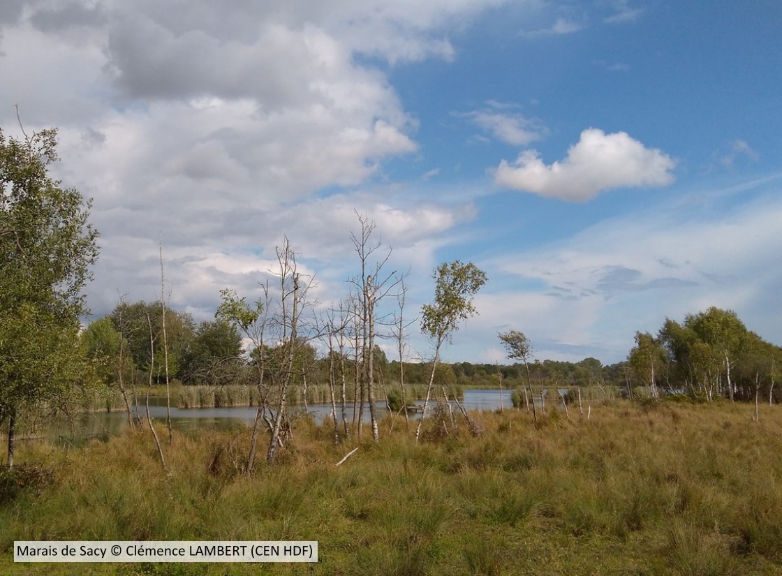 20170916 Sacy CENP C LAMBERT