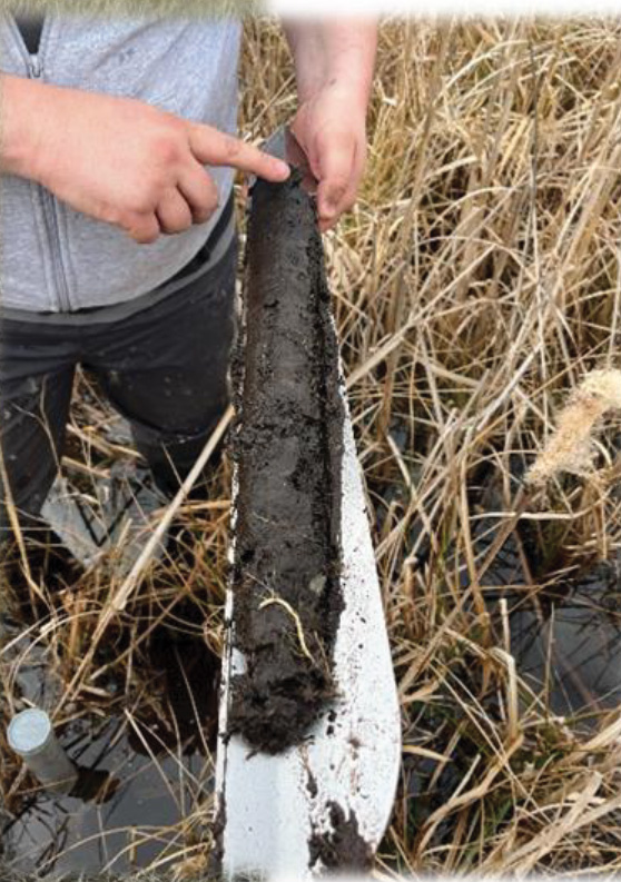 Sous les marais de Sacy, l’histoire refait surface ! 