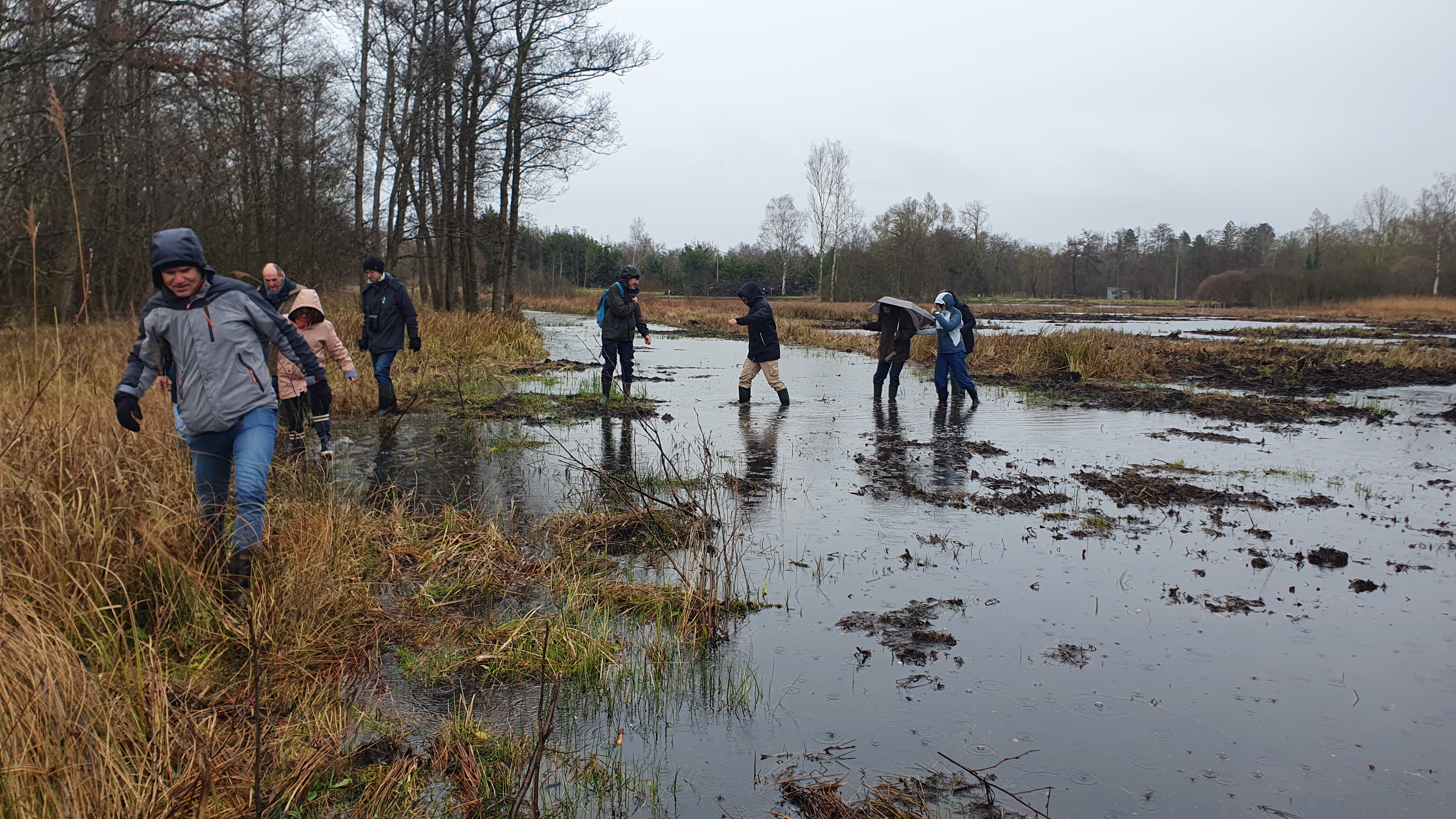 Retour sur le lancement de la Journée Mondiale des Zones Humides 2025 à Amiens