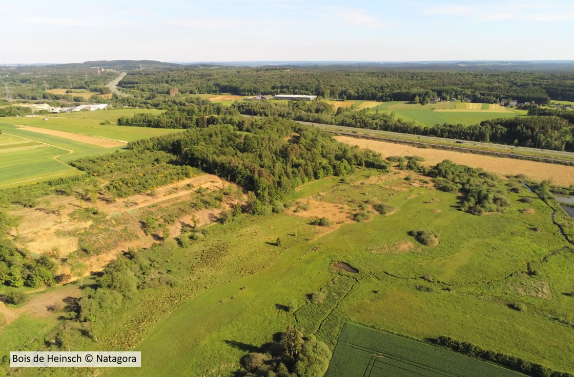 20190601 Heinsch NATAGORA 1 (1)