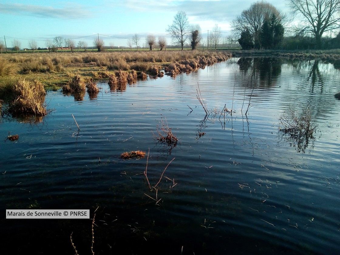20180119 Sonneville PNRSE