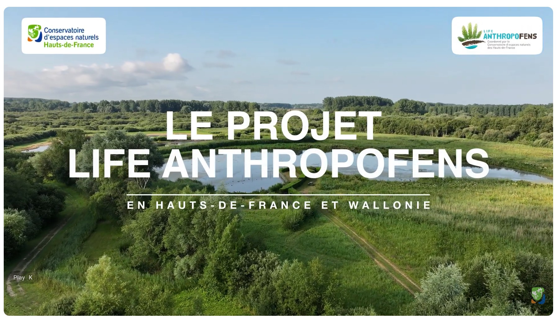 Restaurer les tourbières pour le climat et la biodiversité : découvrez le projet LIFE Anthropofens !
