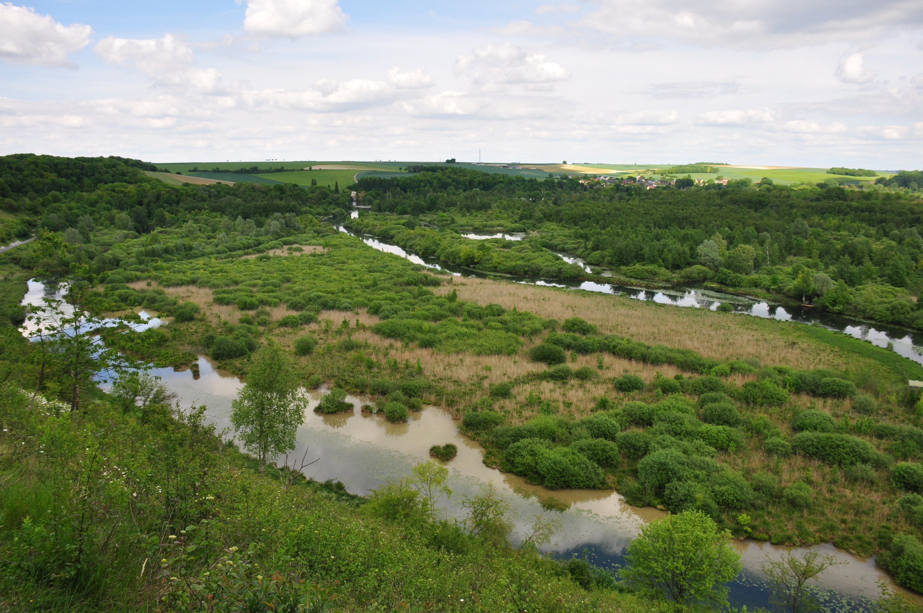 Marais d'Eclusier-Vaux  © M. Héraude