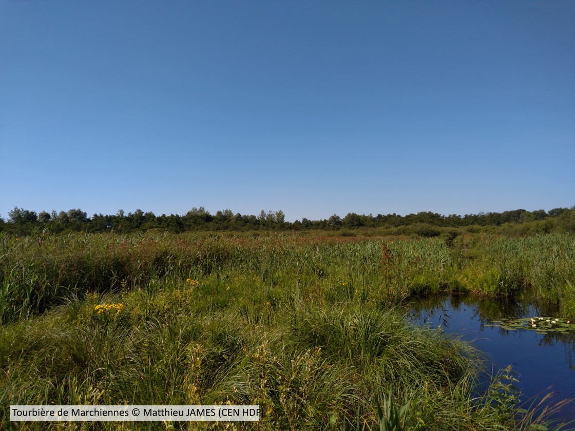 20200624 Marchiennes CENHDF M JAMES