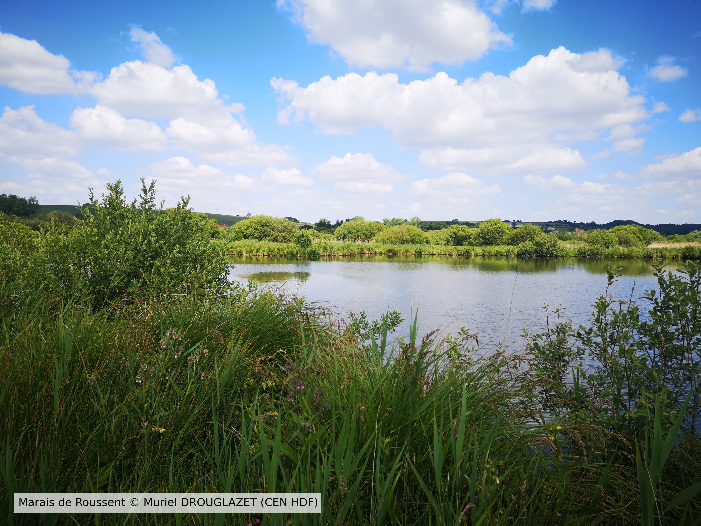 20200515 Roussent CENHDF M DROUGLAZET Leg2