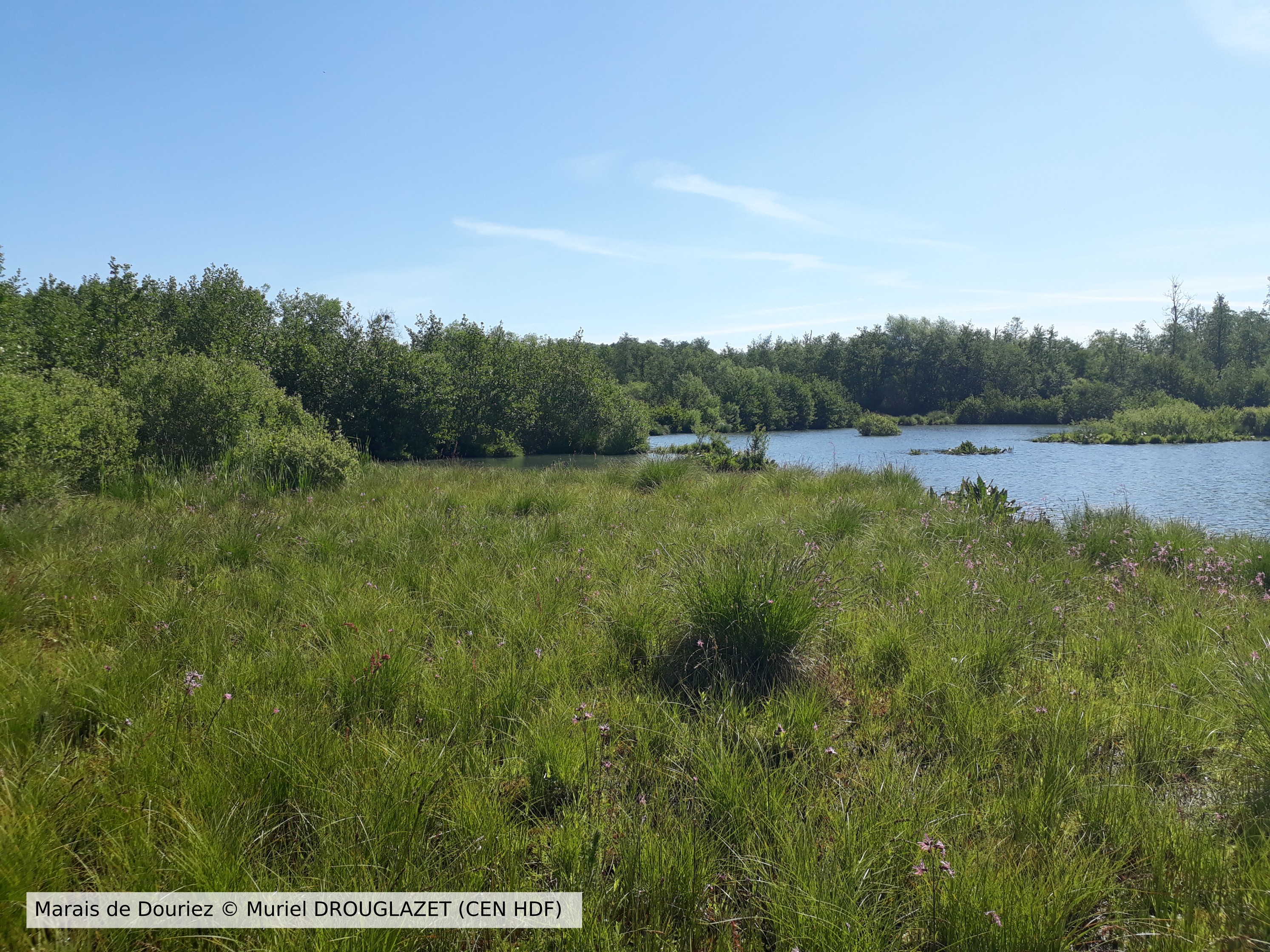 20200518 Douriez CENHDF M DROUGLAZET Leg2