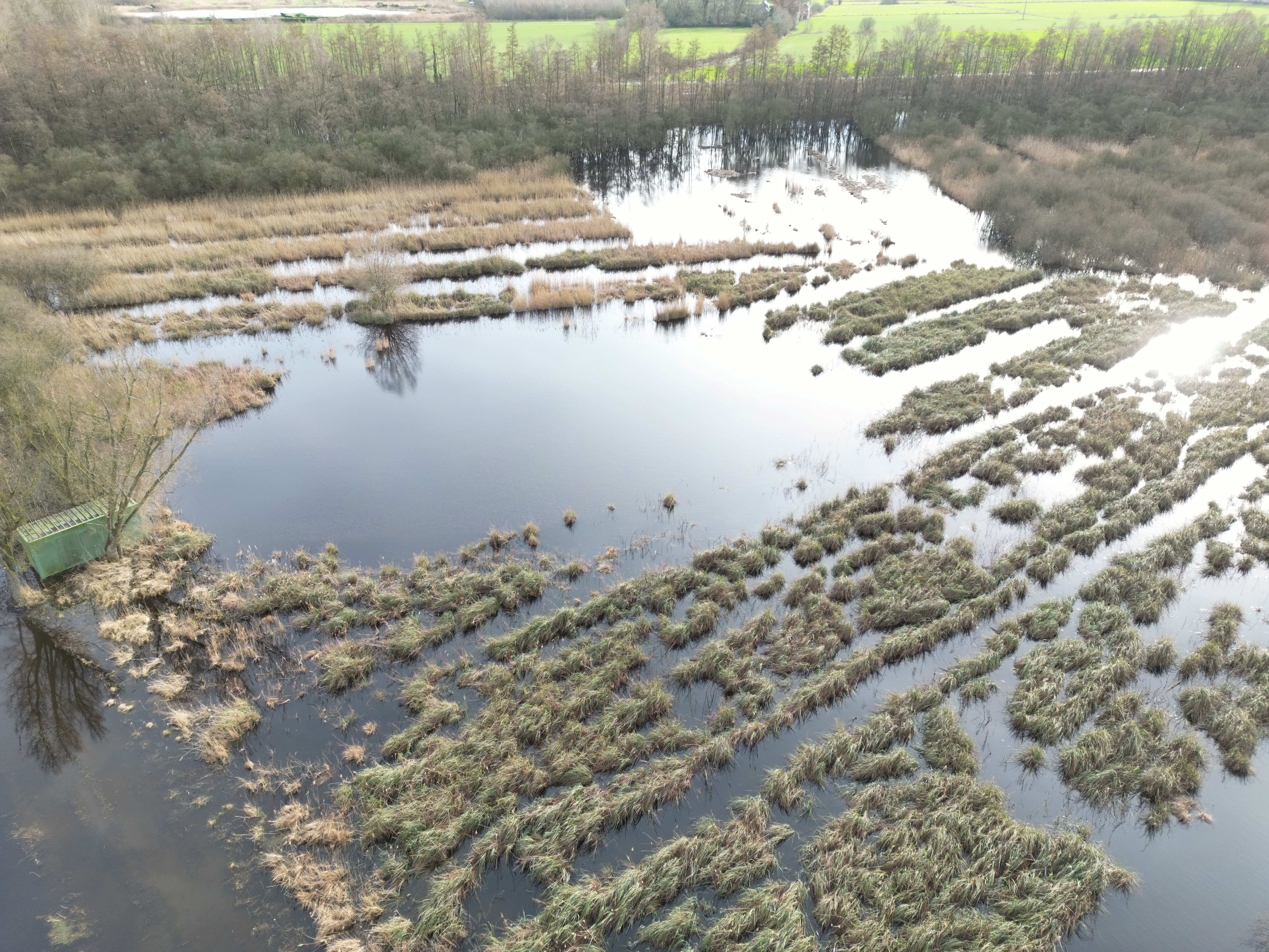 Travaux de restauration sur la RNN de la Tourbière alcaline de Marchiennes 