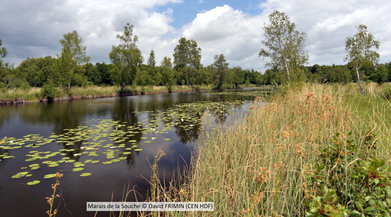 20170617 Pierrepont CENP D FRIMIN